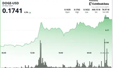 Dogecoin активно купують китами, оскільки Ілон Маск підтримує BTC у новому партійному виході