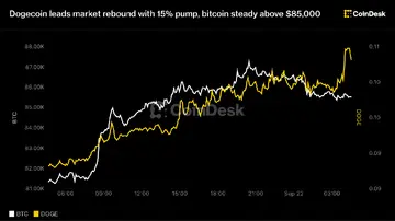 Dogecoin очолює відновлення ринку з підйомом на 15%, біткойн стабільно вище $85,000