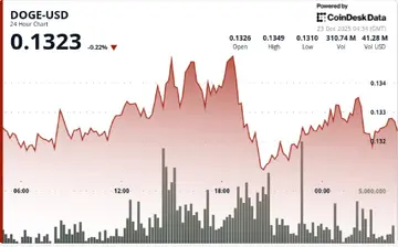 Dogecoin пробиває короткострокову підтримку, намагається знайти нижчу зону попиту
