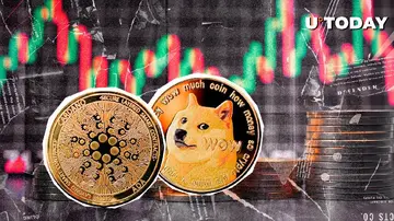 Dogecoin та Cardano зазнають значних втрат в умовах загострення розпродажу криптовалюти