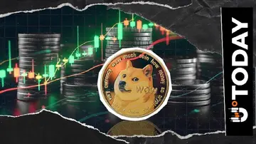 Dogecoin усуне нуль? Великі збитки тримачів малюють сценарій для короткострокової ціни