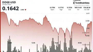 Dogecoin впав на 5%, оскільки патерн нижчих мінімумів підкріплює ведмежий прогноз