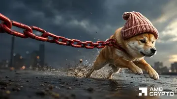 dogwifhat зростає на 16% – але величезний опір заважає WIF отримати більше прибутків