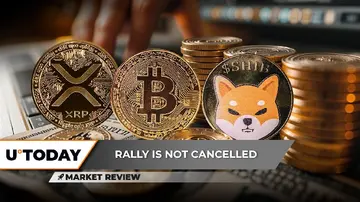 Домінування Біткоїна у 2025 році тріщить, XRP: Топ-5 зростає у 2025 році, Шиба Іну (SHIB): ключове прорив у процесі?