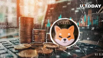 Доминирование китов Shiba Inu достигло 74%: влияние на рынок?