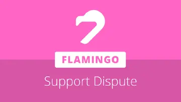 Flamingo Finance виклав суперечку щодо підтримки з NGD та NF у відкритому листі