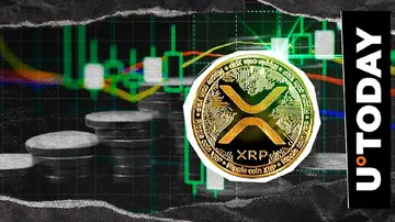 Фундаментальный рост XRP: почему это важно