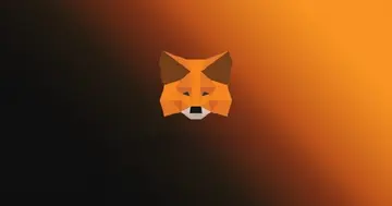Генеральный директор Consensys намекает на скорый запуск токена MetaMask
