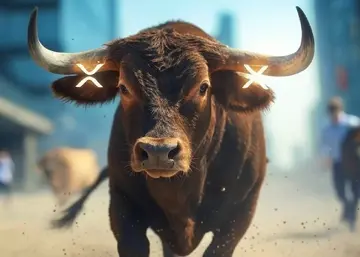 Глава Bitwise Investment ожидает крупнейший рекорд для XRP – "Армия XRP..."