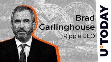 Генеральный директор Ripple нарушает молчание о 'Черепе Сатоши' и последствиях для криптоединства