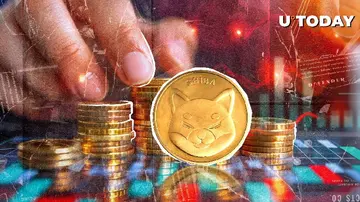 Главный разработчик Shiba Inu раскрывает главный приоритет экосистемы на фоне падения цены SHIB