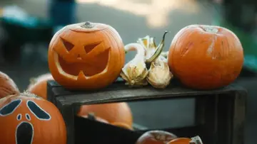 Готовтеся — кінець листопада буде грандіозним для XRP, каже CEO