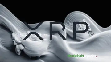 Графік Багатства XRP: Розуміння Розподілу Багатства Власників XRP