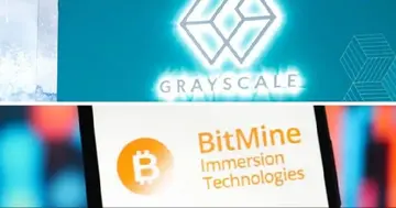 Grayscale та Bitmine інвестували майже 500 мільйонів доларів в Ethereum: Дані з блокчейну