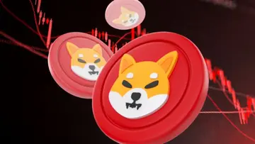 Інтеграція Chainlink виводить Shiba Inu на новий міжланцюговий ринок — що вам слід знати