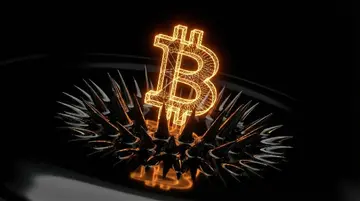 Інженер Coinbase створив AI на базі мозку фруктової мухи, який заробив $1, торгуючи Bitcoin.