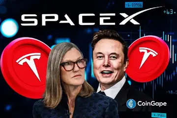 Кеті Вуд купила акцій Tesla, Circle та Securitize на $60 мільйонів під час обвалу фондового ринку США
