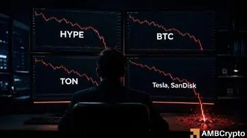 Кит HYPE щойно зробив ведмежу ставку на 72 млн доларів — Що він знає?