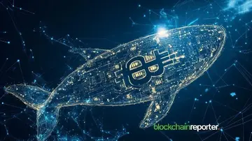 Кит купує 584 біткоїни на суму 63,9 мільйона доларів у стратегічному придбанні під час зниження ринку
