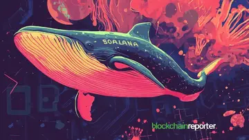 Кит подвоює ставку на Solana, купивши на $3.72 млн, сигналізуючи про сильний бичачий настрій
