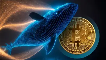 Кит, який не був активним протягом 14 років, здійснив переказ у 500 BTC! Ось деталі.