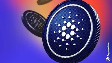 Кити Cardano накопичили 454 мільйони ADA, поки малі гаманці виходять