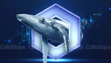 Киты переместили 38,64 миллиона LINK за 24 часа, следует ли ожидать роста цены Chainlink?