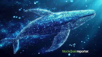 Кити почали накопичувати токени FF на фоні падіння ціни Falcon Finance на 37,9%
