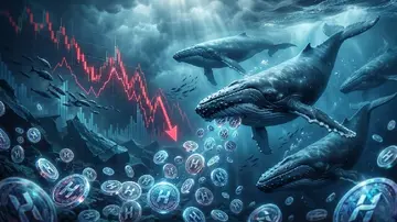 Кити поспішають накопичити HYPE під час корекції ринку