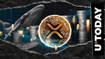 Кити продають XRP з вражаючою швидкістю