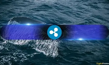 Кити XRP тепер контролюють 68,5% постачання, найвищий рівень з 2022 року