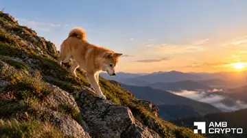Китоподібні утримувачі Dogecoin накопичили 240 млн DOGE – чому ціна все ще падає?
