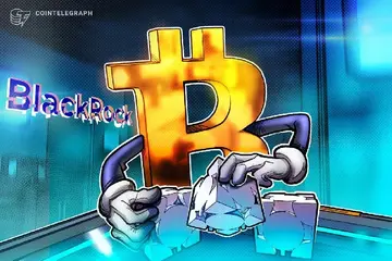 Клієнти BlackRock по Bitcoin не "підтримують" випадок для глобальних платежів.
