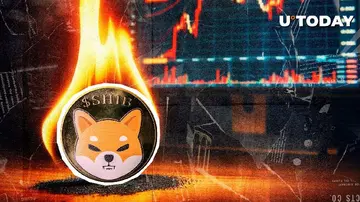 Ключова метрика SHIB зросла на 1,047%, що коштувало 158,727,357 Shiba Inu