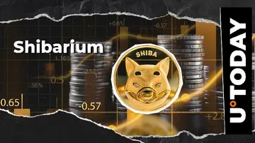 Ключові варіанти використання Shibarium від команди SHIB