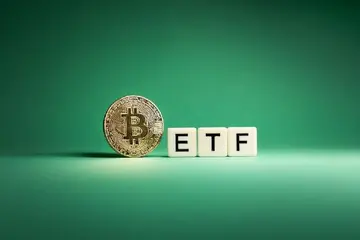 Кожна категорія інвесторів збільшила свої володіння Bitcoin у II кварталі