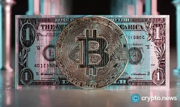Крипто-інвестиції: Coinbase придбала Echo за 375 мільйонів доларів, Pave Bank залучив 39 мільйонів доларів