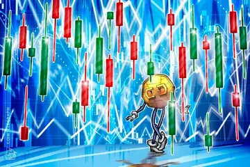 Криптовалютные казначейства с долгосрочной стратегией «выживут на любом рынке»: Hashkey
