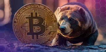 Криптобіржа Bitfinex оголосила, що біткоїн близький до виходу з ведмежого ринку!