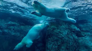 Криптовалютні акції різко впали в середу, лідерами зниження стали Galaxy та майнери біткоїнів