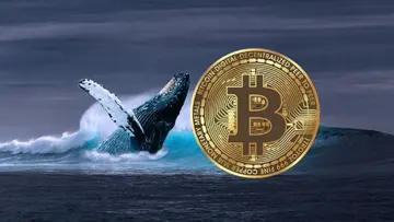Крипторынки сегодня: Биткойн упал до $121,5 тыс. на фоне укрепления доллара; Binance представляет «Мемный раш»