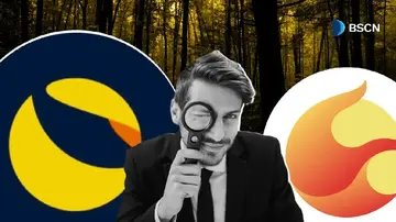 LUNC проти LUNA: Як розділилися дві мережі та що тепер робить кожна з них