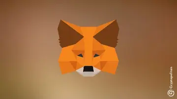 MetaMask може запустити токен у майбутньому