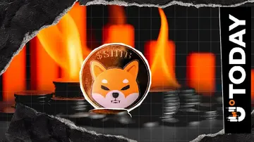 Метрика спалення SHIB шокує величезним падінням на 91%: деталі