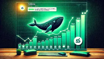 Метрики свідчать про зростання активності китів у Solana – сигнал накопичення?