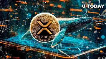 Миллионеры XRP вывели более 1 000 000 000 долларов, так как цена XRP упала на 3 доллара