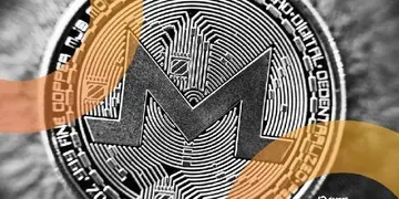 Монеро та Zcash різко змінюються з двозначними тижневими коливаннями в умовах обертання монет з приватністю