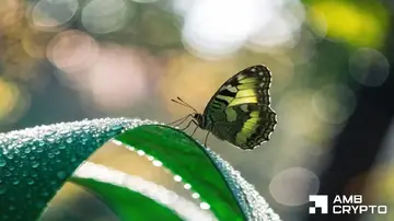 MORPHO перевіряє ключове опір після запуску Solana — Чи втримаються прорив?
