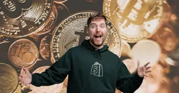 MrBeast планує запустити фінансові послуги та бізнес у сфері мобільного зв'язку.