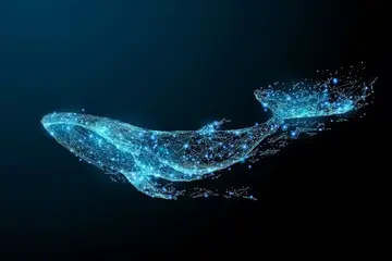 На Ethereum відбувається велике вторгнення китів: вони накопичили мільярди доларів у вигляді ETH – ось подробиці